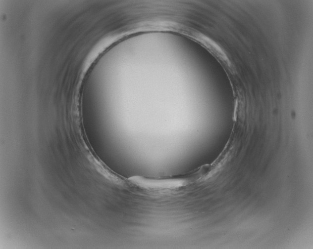 X0000080171192200612221243