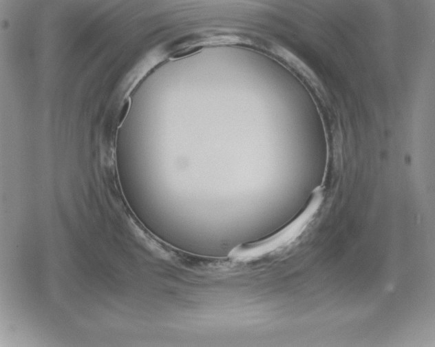 X0000080171193200612221243