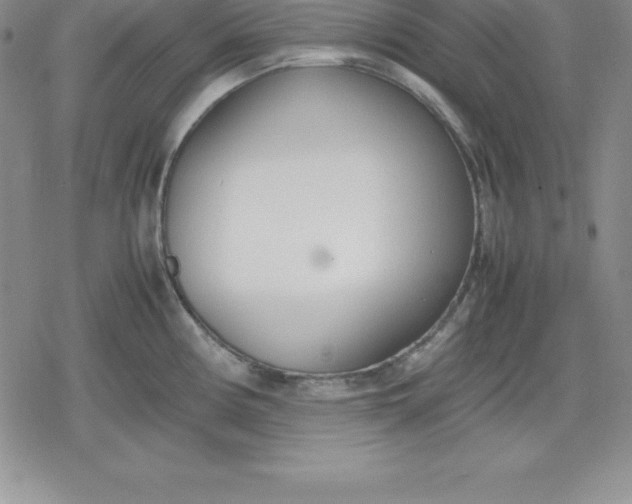 X0000080171194200612221243