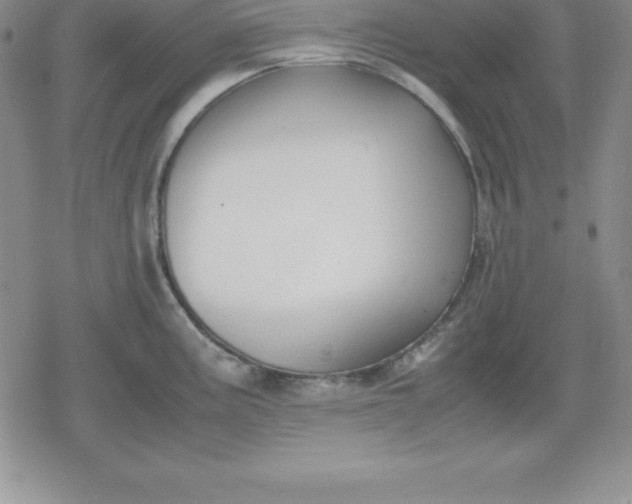 X0000080171195200612221243