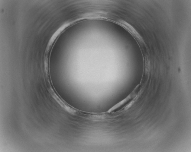 X0000080171196200612221243