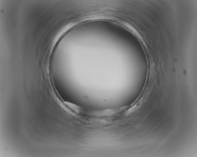 X0000080171197200612221243