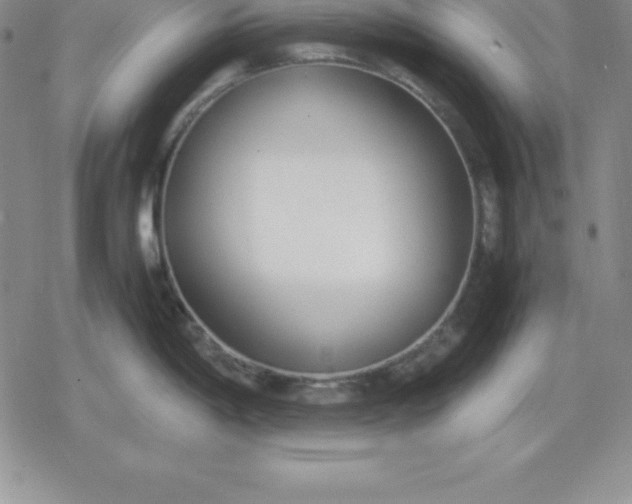 X0000080171198200612221243