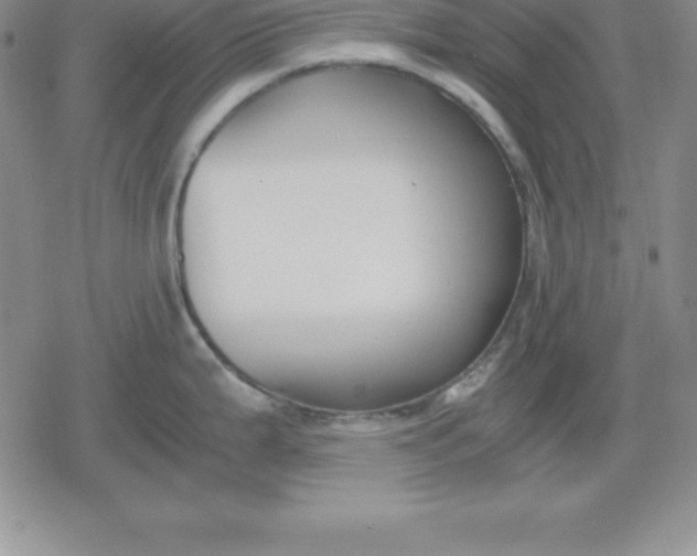 X0000080171199200612221243