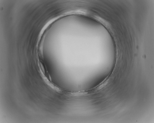 X0000080171200200612221243