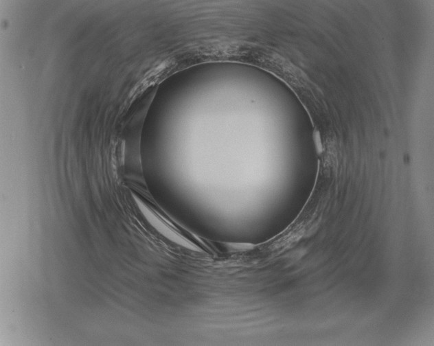 X0000080171202200612221242