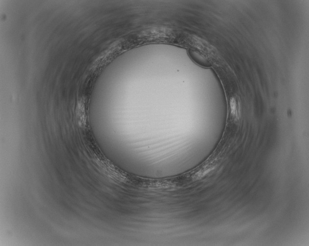 X0000080171203200612221242