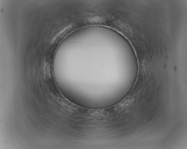 X0000080171205200612221242