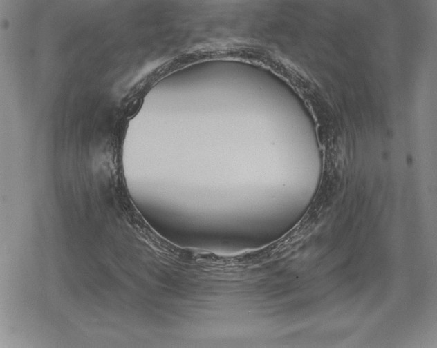 X0000080171206200612221242