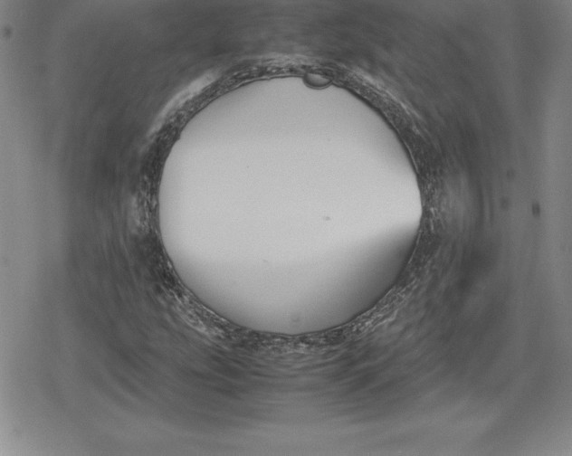 X0000080171207200612221242