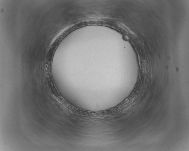 X0000080171208200612221242