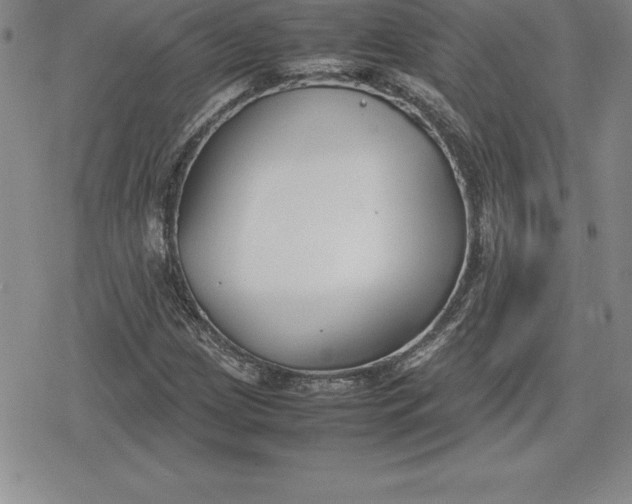 X0000080171209200612221242