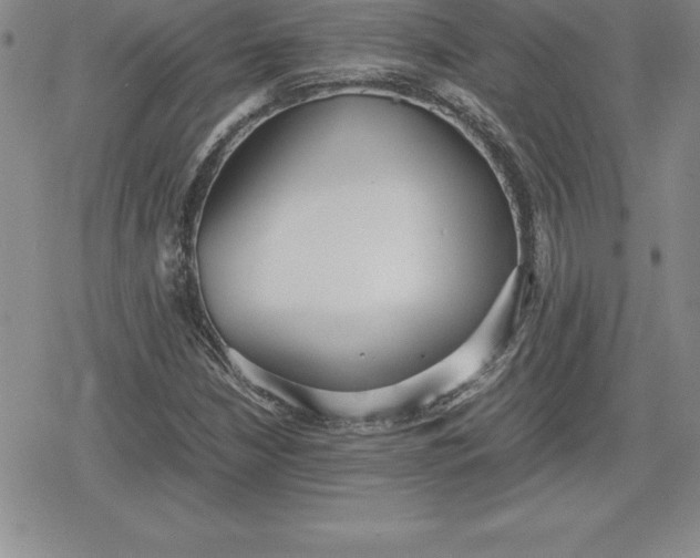 X0000080171210200612221242