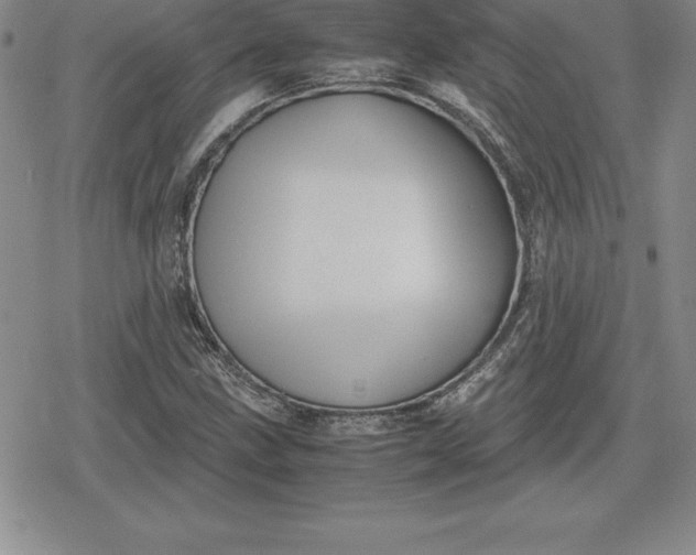 X0000080171211200612221242