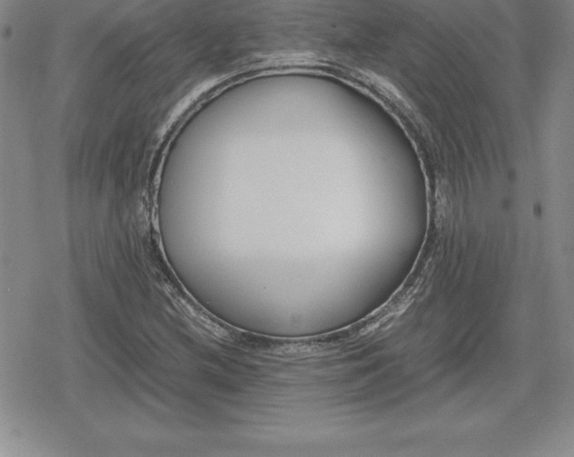 X0000080171212200612221242