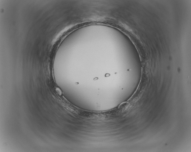 X0000080171214200612221242