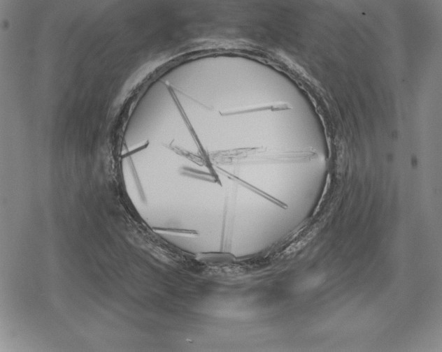 X0000080171215200612221242