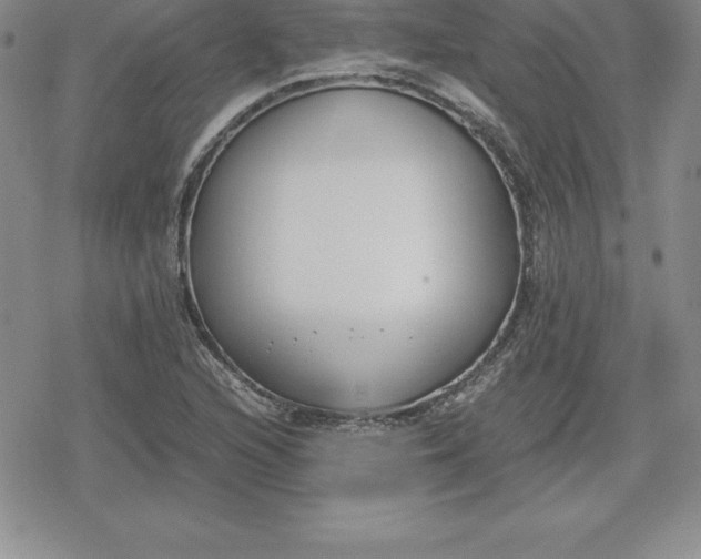 X0000080171216200612221242