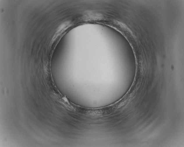 X0000080171217200612221242