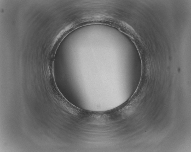 X0000080171218200612221242