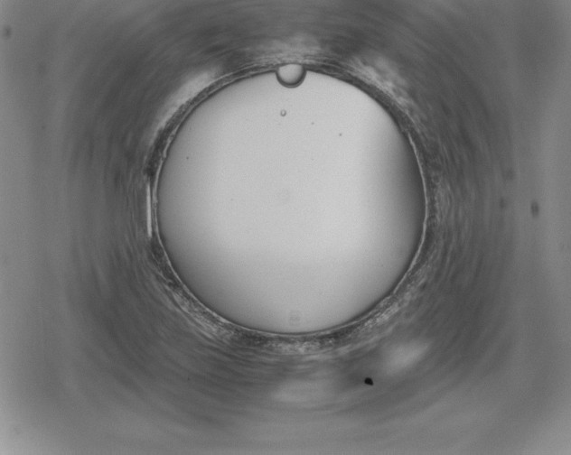 X0000080171219200612221242