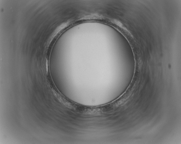 X0000080171221200612221242