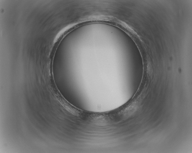 X0000080171222200612221242