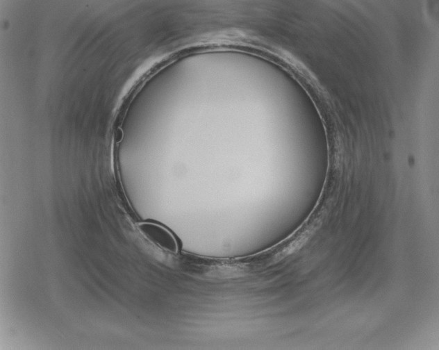 X0000080171224200612221242