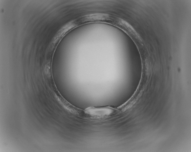 X0000080171225200612221242