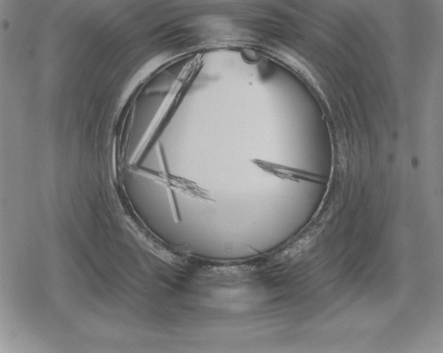 X0000080171227200612221242