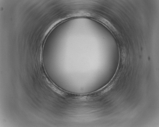 X0000080171228200612221242