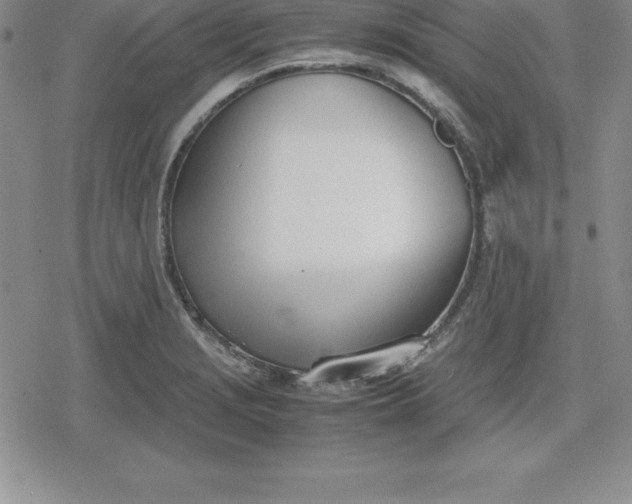 X0000080171229200612221243