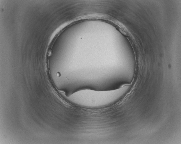 X0000080171230200612221243