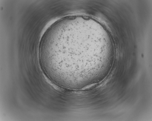 X0000080171231200612221243