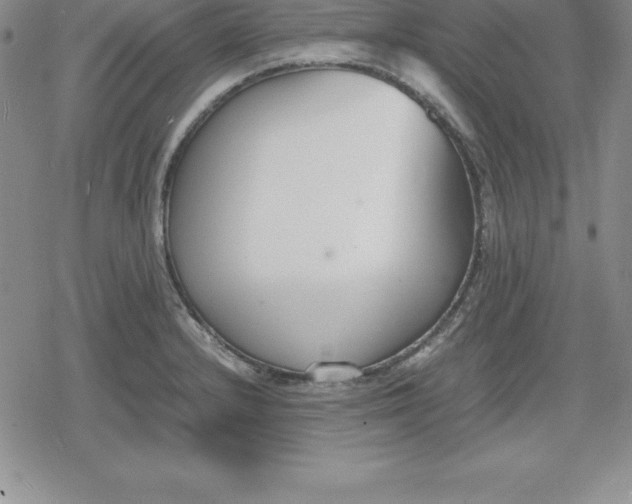 X0000080171232200612221243