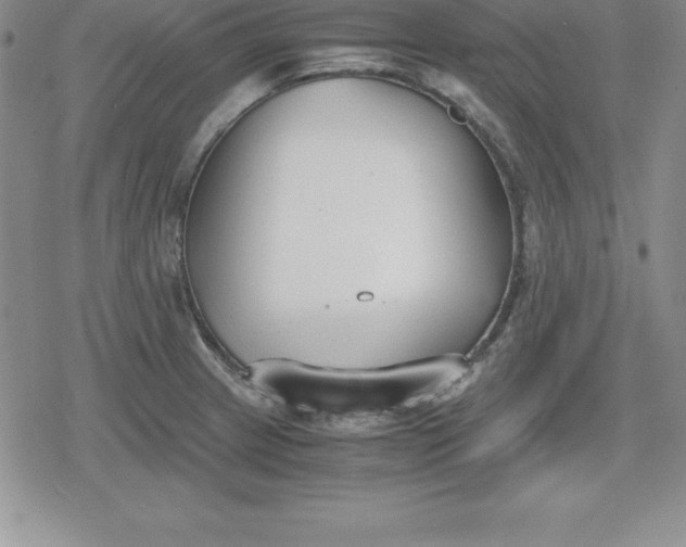 X0000080171233200612221243