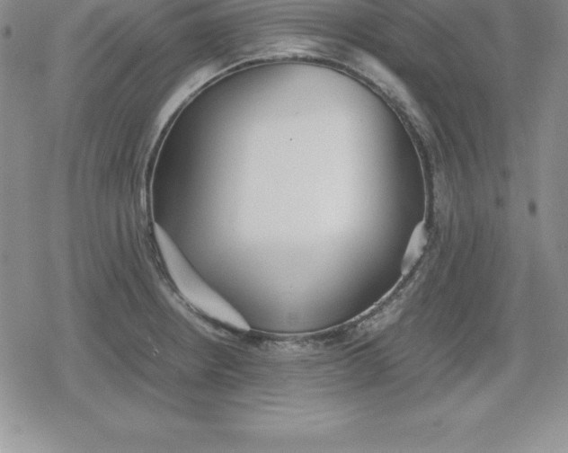 X0000080171234200612221243