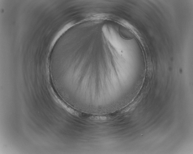 X0000080171235200612221243