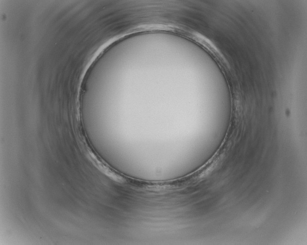 X0000080171236200612221243