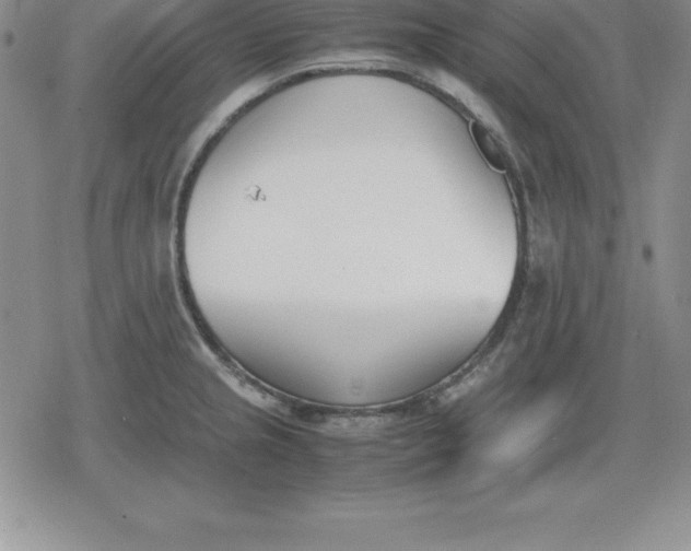 X0000080171237200612221243