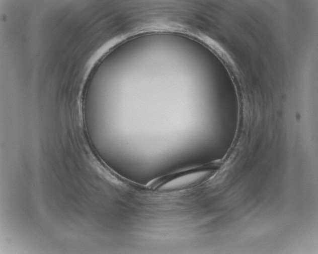 X0000080171238200612221243