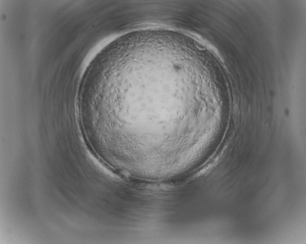 X0000080171239200612221243