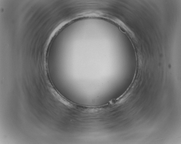 X0000080171240200612221243