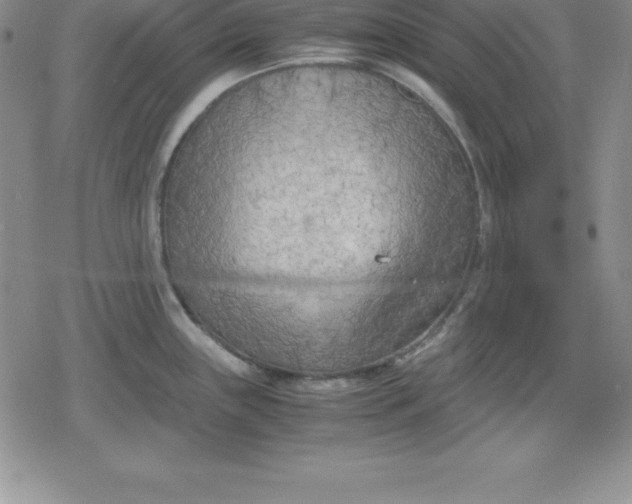 X0000080171243200612221243