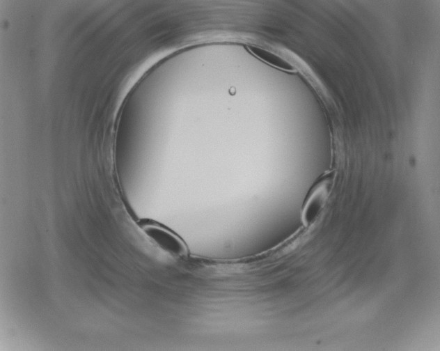 X0000080171244200612221243