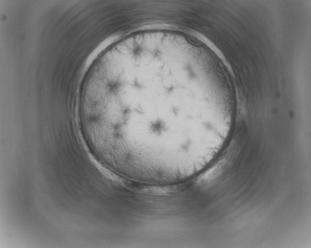 X0000080171245200612221243