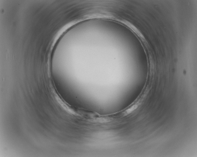 X0000080171246200612221243