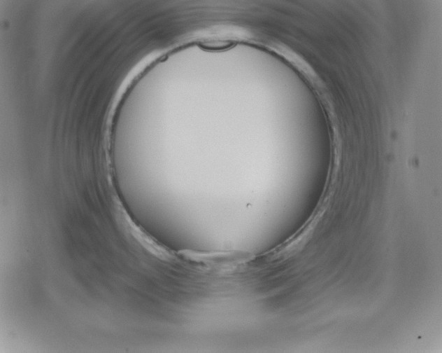 X0000080171248200612221243