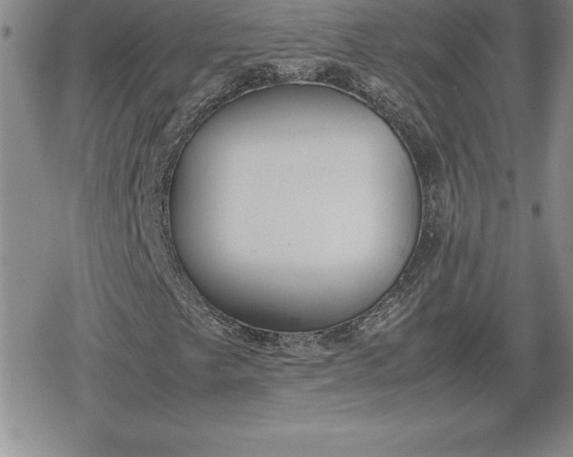 X0000080171249200612221242