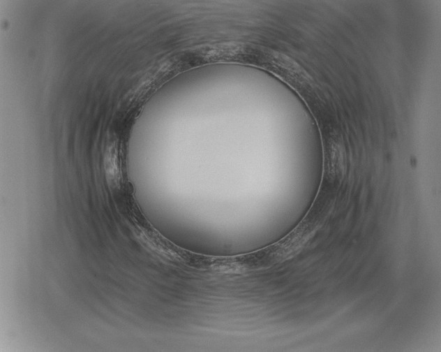 X0000080171250200612221242